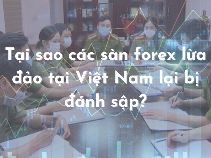 Tại sao các sàn forex lừa đảo tại Việt Nam lại bị đánh sập?