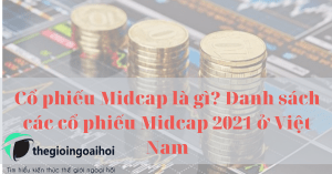 Cổ phiếu Midcap là gì? Danh sách các cổ phiếu Midcap 2021 ở Việt Nam