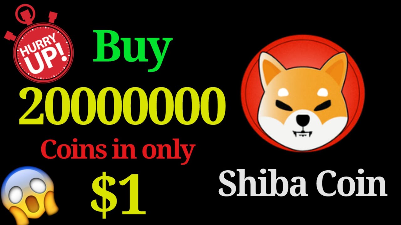 Có nên đầu tư Shiba coin?